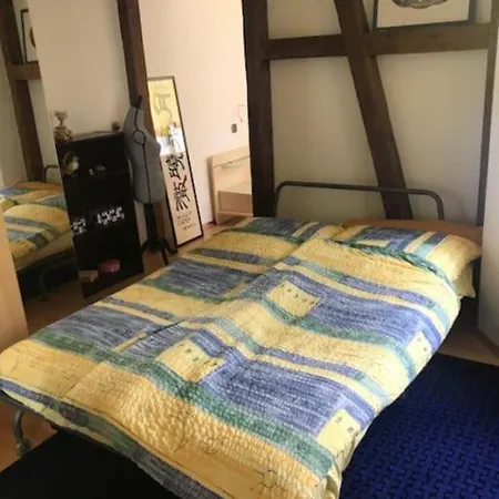 Wohlfühloase Im Zentrum Von * Baden-Baden